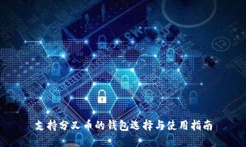 支持分叉币的钱包选择与使用指南