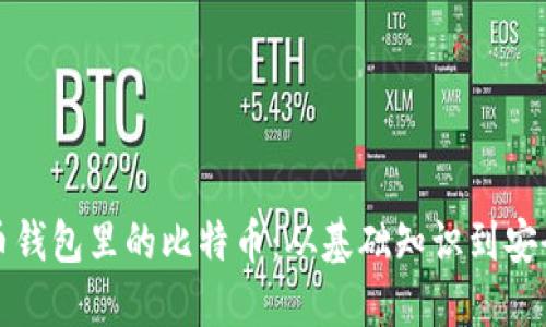比特币钱包里的比特币：从基础知识到安全管理