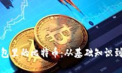 比特币钱包里的比特币：