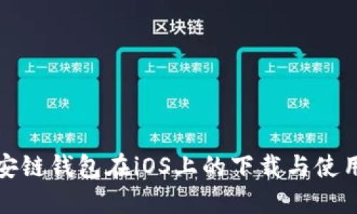 : 币安链钱包在iOS上的下载与使用指南