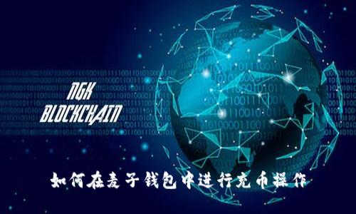 如何在麦子钱包中进行充币操作