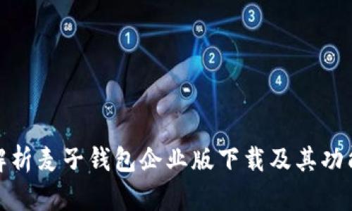全面解析麦子钱包企业版下载及其功能优势