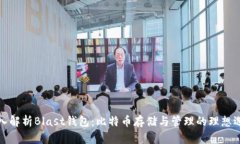 深入解析Blast钱包：比特币存储与管理的理想选择
