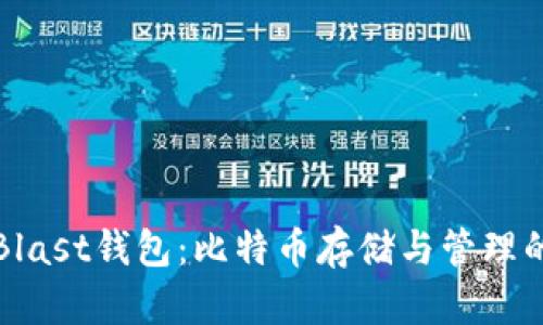 深入解析Blast钱包：比特币存储与管理的理想选择