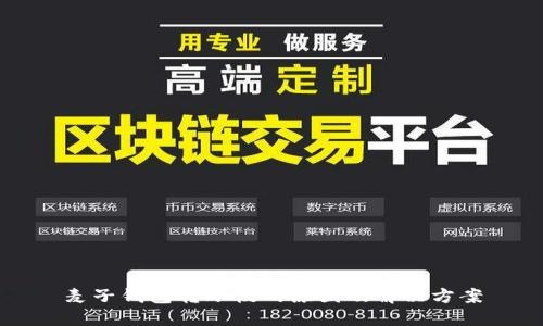 麦子钱包转账慢的原因及解决方案