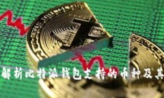 全面解析比特派钱包支持的币种及其特点