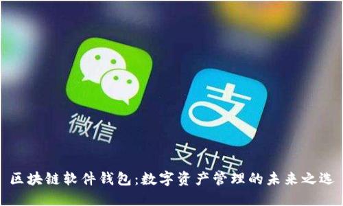区块链软件钱包：数字资产管理的未来之选