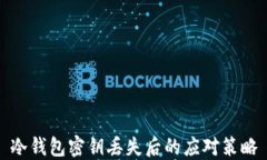 冷钱包密钥丢失后的应对策略