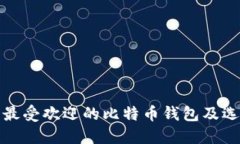 : 美国最受欢迎的比特币钱包及选择指南