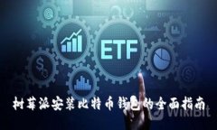 树莓派安装比特币钱包的全面指南
