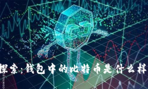 深入探索：钱包中的比特币是什么样子的？