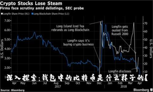 深入探索：钱包中的比特币是什么样子的？
