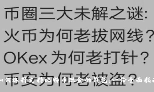 如何选择支持比特币现金的钱包：一份全面指南