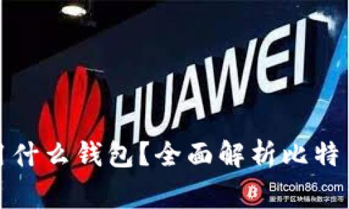 大家买比特币都用什么钱包？全面解析比特币钱包类型与选择