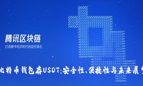 比特币钱包存USDT：安全性、便捷性与未来展望