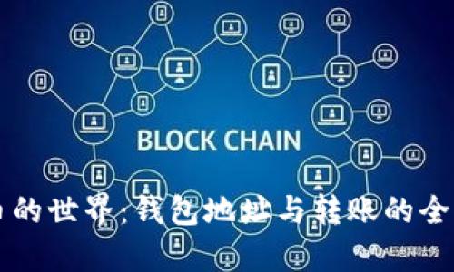 比特币的世界：钱包地址与转账的全面解析