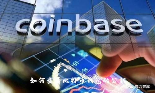 如何查看比特币钱包的公钥